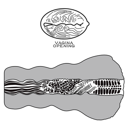 Masturbador Alien's Pie  #3