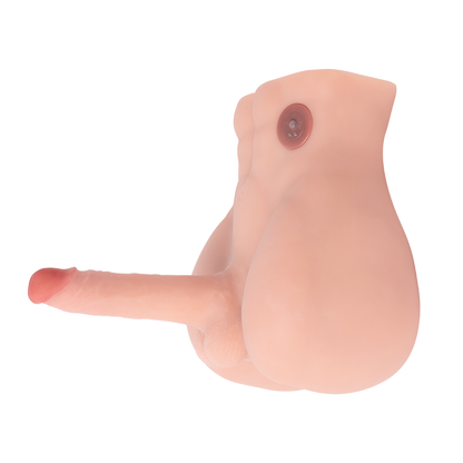 Medio Torso Bartlett