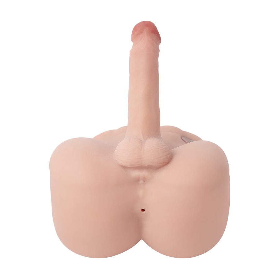 Medio Torso Bartlett