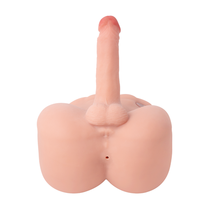 Medio Torso Bartlett