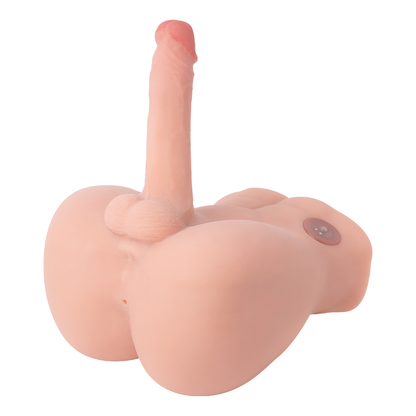 Medio Torso Bartlett