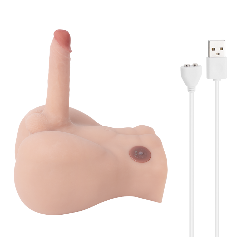 Medio Torso Bartlett