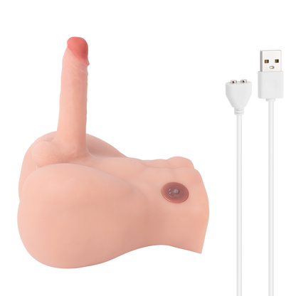 Medio Torso Bartlett